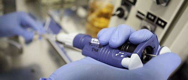 Investigación, Transferencia de Conocimiento e Innovación